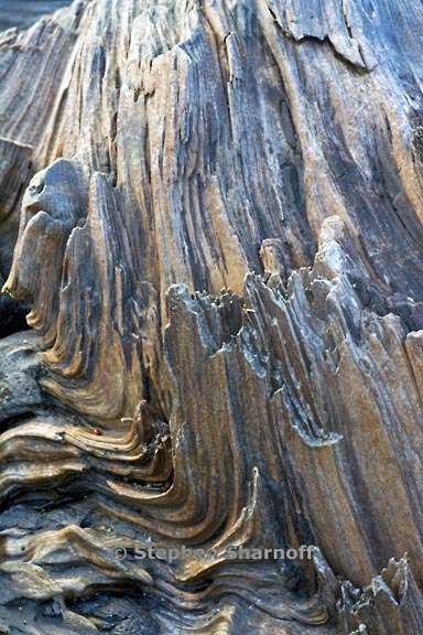 driftwood 3714 3 graphic